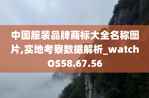 中国服装品牌商标大全名称图片,实地考察数据解析_watchOS58.67.56