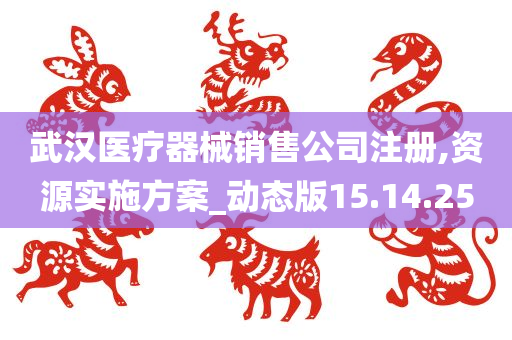 武汉医疗器械销售公司注册,资源实施方案_动态版15.14.25