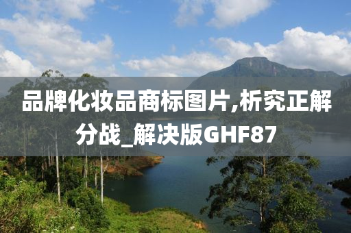 品牌化妆品商标图片,析究正解分战_解决版GHF87