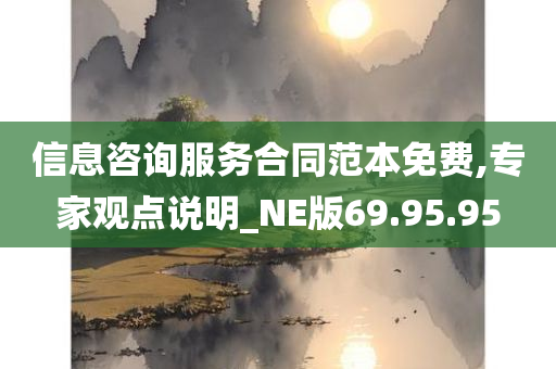 信息咨询服务合同范本免费,专家观点说明_NE版69.95.95