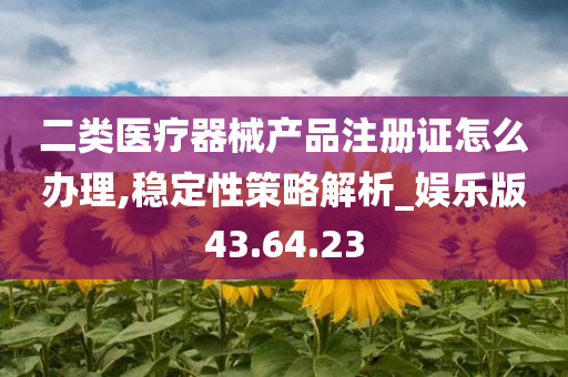 二类医疗器械产品注册证怎么办理,稳定性策略解析_娱乐版43.64.23