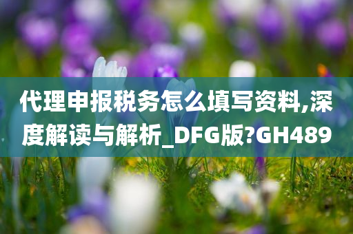 代理申报税务怎么填写资料,深度解读与解析_DFG版?GH489