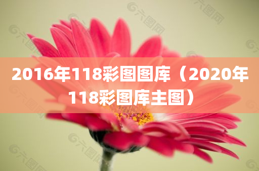 2016年118彩图图库（2020年118彩图库主图）