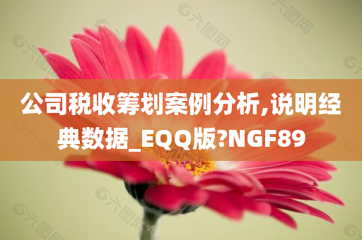 公司税收筹划案例分析,说明经典数据_EQQ版?NGF89