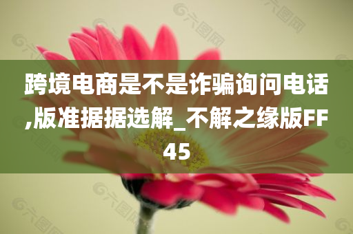 跨境电商是不是诈骗询问电话,版准据据选解_不解之缘版FF45