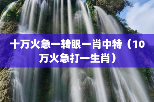 十万火急一转眼一肖中特（10万火急打一生肖）