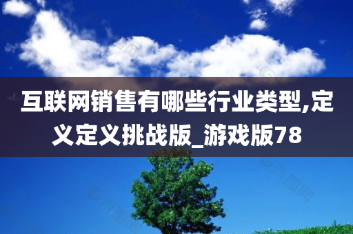 互联网销售有哪些行业类型,定义定义挑战版_游戏版78