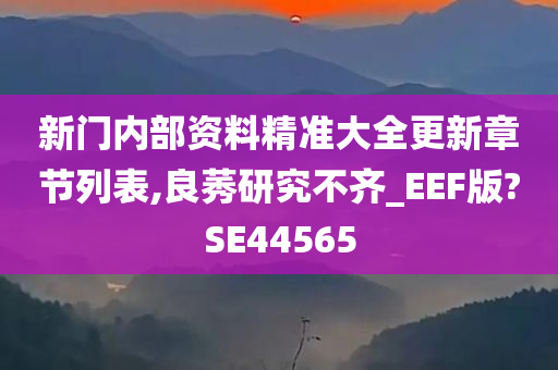 新门内部资料精准大全更新章节列表,良莠研究不齐_EEF版?SE44565