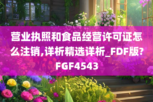 营业执照和食品经营许可证怎么注销,详析精选详析_FDF版?FGF4543