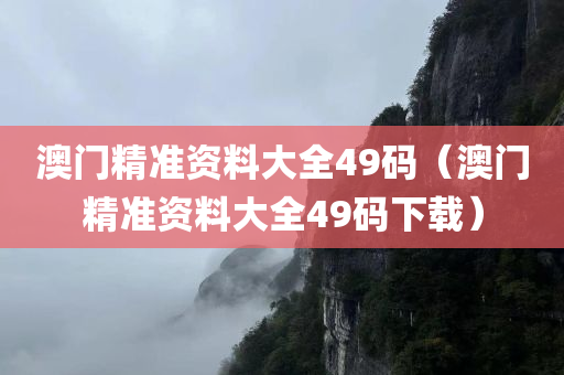 澳门精准资料大全49码（澳门精准资料大全49码下载）