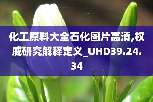 化工原料大全石化图片高清,权威研究解释定义_UHD39.24.34