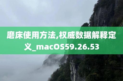 磨床使用方法,权威数据解释定义_macOS59.26.53