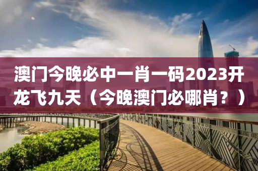 澳门今晚必中一肖一码2023开龙飞九天（今晚澳门必哪肖？）