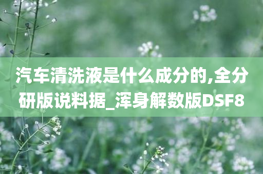 汽车清洗液是什么成分的,全分研版说料据_浑身解数版DSF8