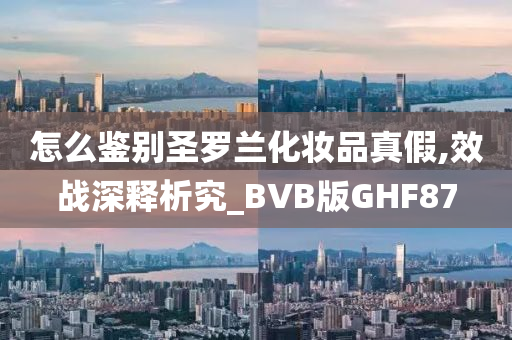 怎么鉴别圣罗兰化妆品真假,效战深释析究_BVB版GHF87