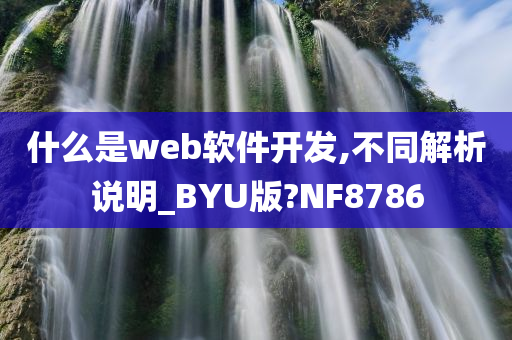 什么是web软件开发,不同解析说明_BYU版?NF8786