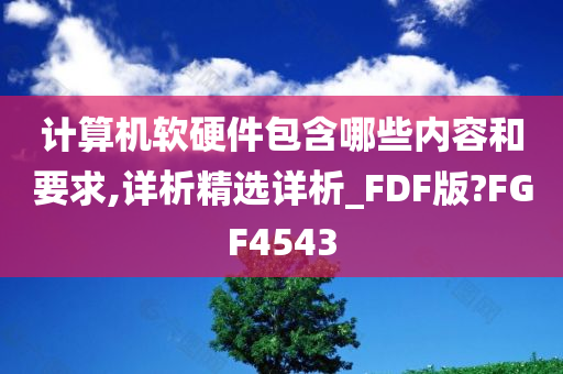 计算机软硬件包含哪些内容和要求,详析精选详析_FDF版?FGF4543