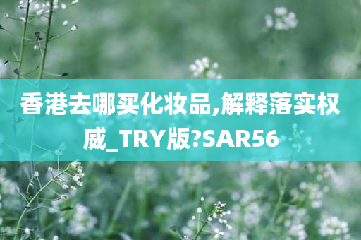 香港去哪买化妆品,解释落实权威_TRY版?SAR56