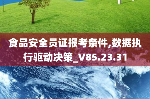 食品安全员证报考条件,数据执行驱动决策_V85.23.31