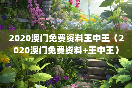 2020澳门免费资料王中王（2020澳门免费资料+王中王）