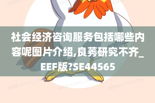 社会经济咨询服务包括哪些内容呢图片介绍,良莠研究不齐_EEF版?SE44565