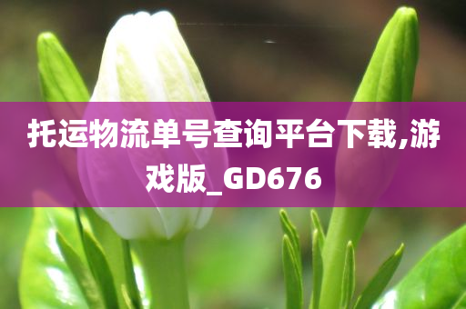 托运物流单号查询平台下载,游戏版_GD676