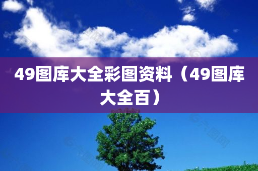 49图库大全彩图资料（49图库大全百）