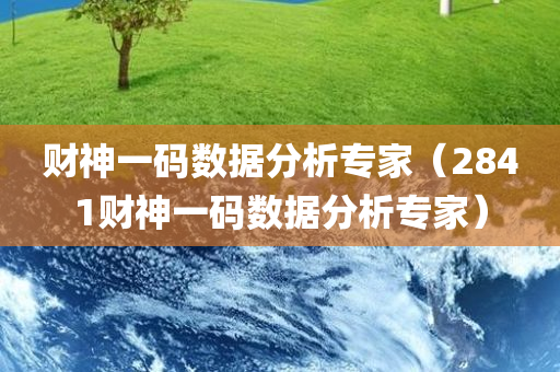 财神一码数据分析专家（2841财神一码数据分析专家）