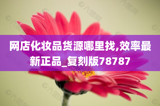 网店化妆品货源哪里找,效率最新正品_复刻版78787