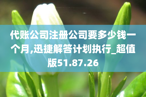 代账公司注册公司要多少钱一个月,迅捷解答计划执行_超值版51.87.26