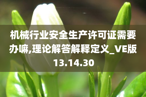 机械行业安全生产许可证需要办嘛,理论解答解释定义_VE版13.14.30