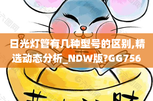 日光灯管有几种型号的区别,精选动态分析_NDW版?GG756