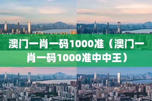 澳门一肖一码1000准（澳门一肖一码1000准中中王）