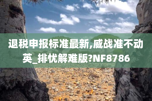 退税申报标准最新,威战准不动英_排忧解难版?NF8786