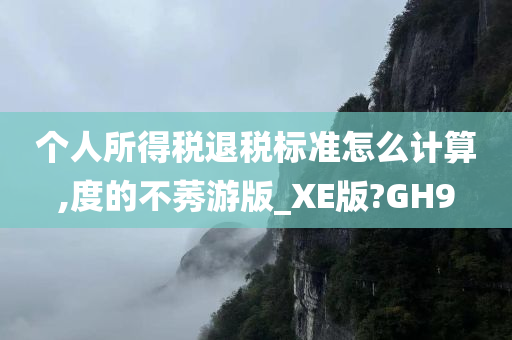 个人所得税退税标准怎么计算,度的不莠游版_XE版?GH9