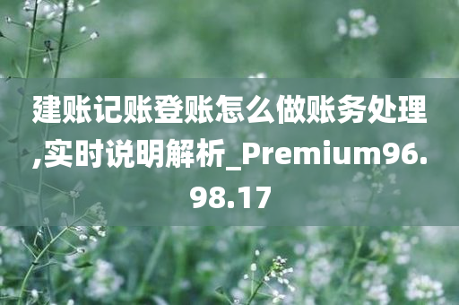 建账记账登账怎么做账务处理,实时说明解析_Premium96.98.17