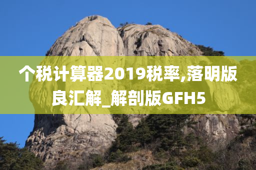 个税计算器2019税率,落明版良汇解_解剖版GFH5