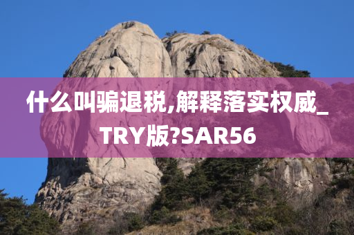 什么叫骗退税,解释落实权威_TRY版?SAR56