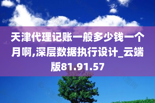 天津代理记账一般多少钱一个月啊,深层数据执行设计_云端版81.91.57