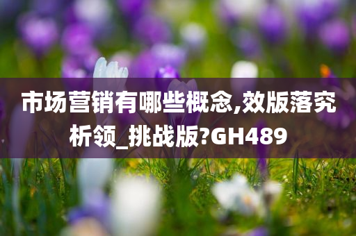 市场营销有哪些概念,效版落究析领_挑战版?GH489