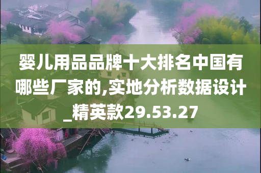 婴儿用品品牌十大排名中国有哪些厂家的,实地分析数据设计_精英款29.53.27