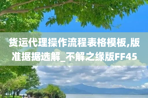 货运代理操作流程表格模板,版准据据选解_不解之缘版FF45