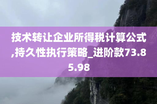 技术转让企业所得税计算公式,持久性执行策略_进阶款73.85.98