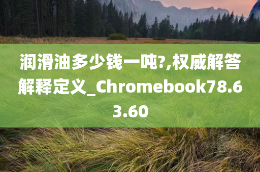 润滑油多少钱一吨?,权威解答解释定义_Chromebook78.63.60