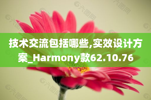 技术交流包括哪些,实效设计方案_Harmony款62.10.76