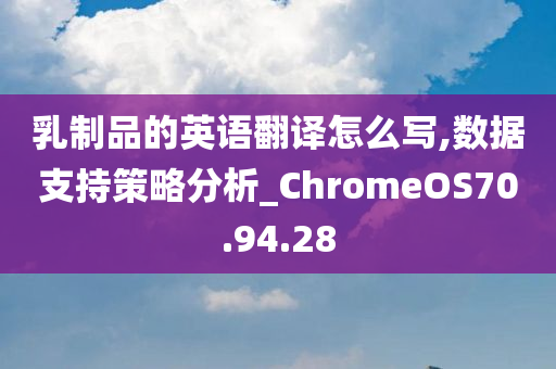 乳制品的英语翻译怎么写,数据支持策略分析_ChromeOS70.94.28