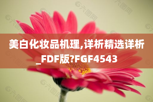 美白化妆品机理,详析精选详析_FDF版?FGF4543