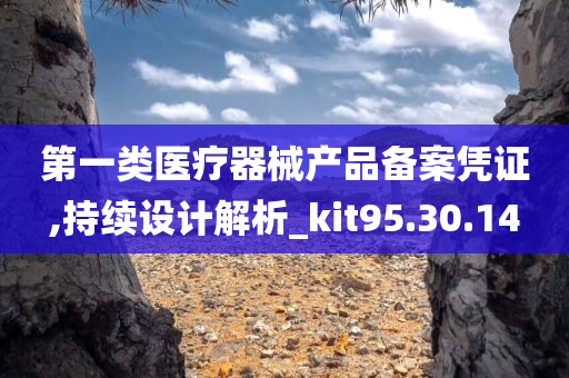 第一类医疗器械产品备案凭证,持续设计解析_kit95.30.14