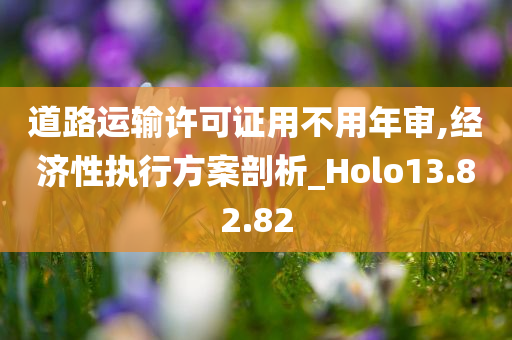 道路运输许可证用不用年审,经济性执行方案剖析_Holo13.82.82