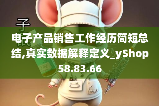 电子产品销售工作经历简短总结,真实数据解释定义_yShop58.83.66